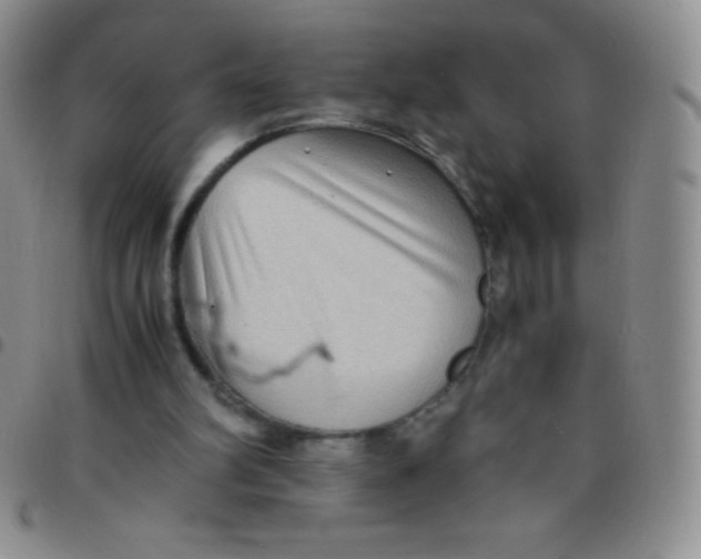 X0000097480102200803141943