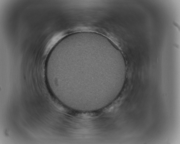 X0000097480103200803141943