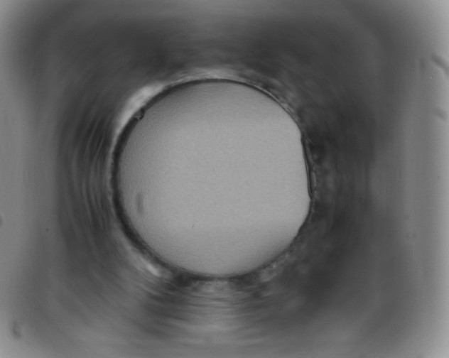 X0000097480104200803141943