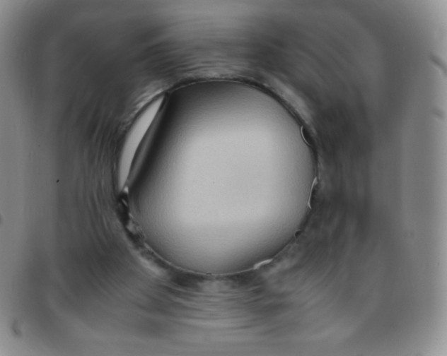 X0000097480105200803141943