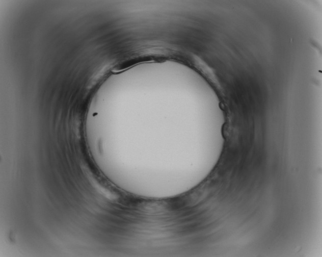 X0000097480106200803141943