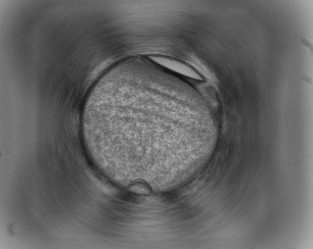 X0000097480107200803141943