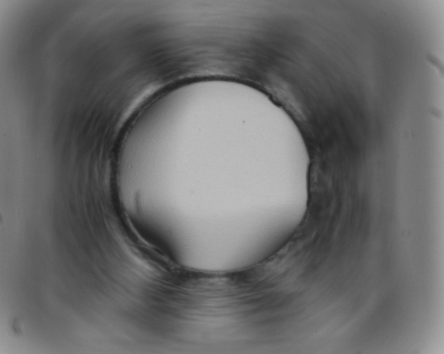 X0000097480108200803141943