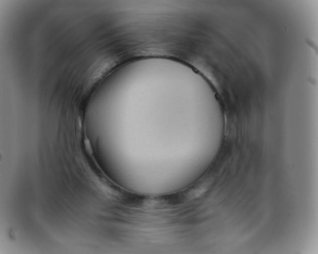 X0000097480109200803141943