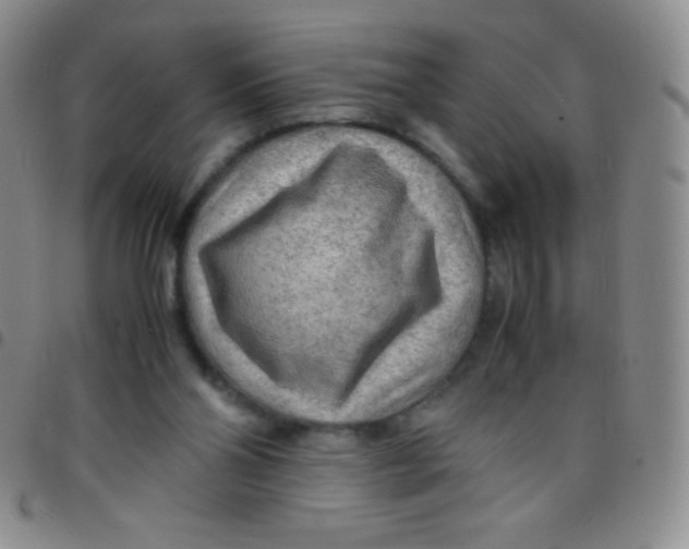 X0000097480110200803141943