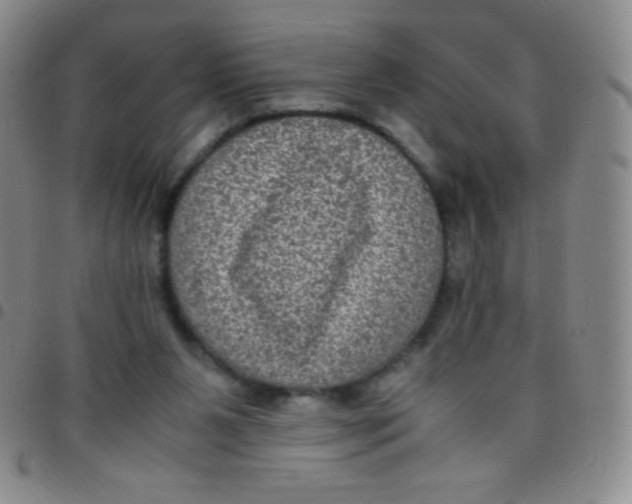 X0000097480111200803141943