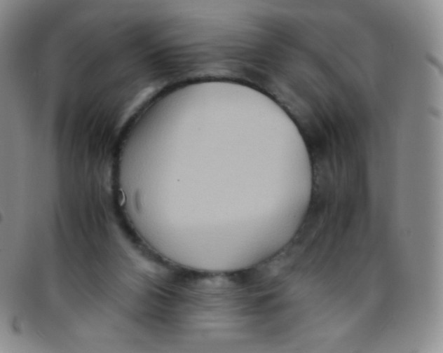 X0000097480112200803141943