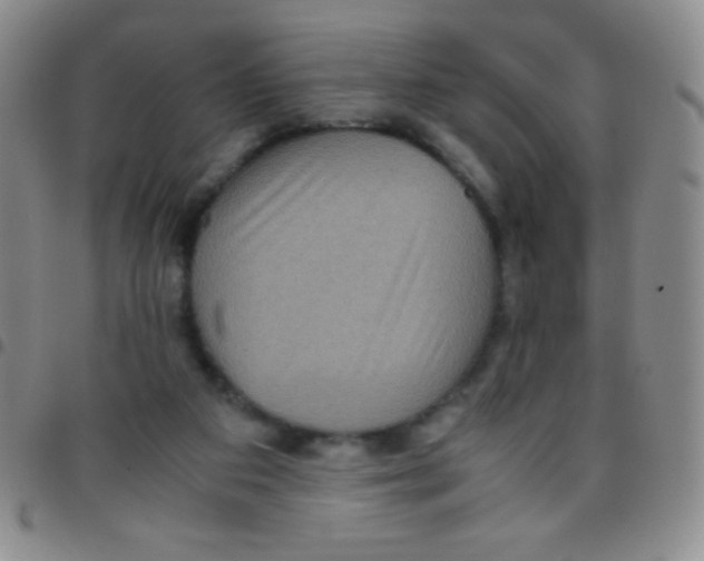 X0000097480113200803141943