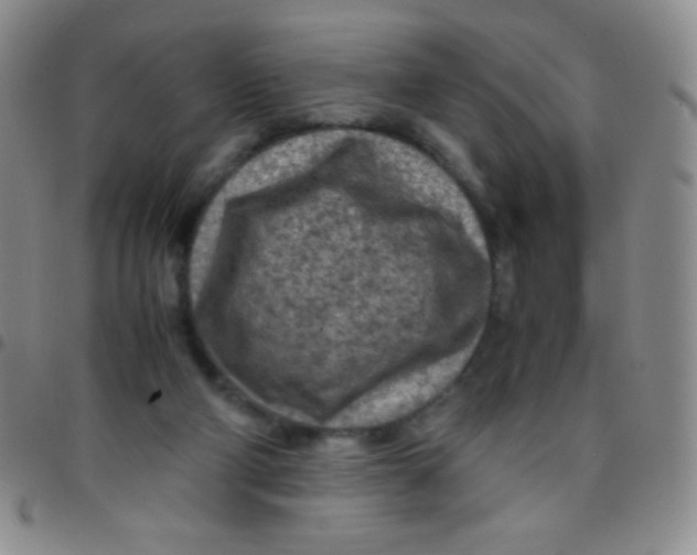 X0000097480114200803141943