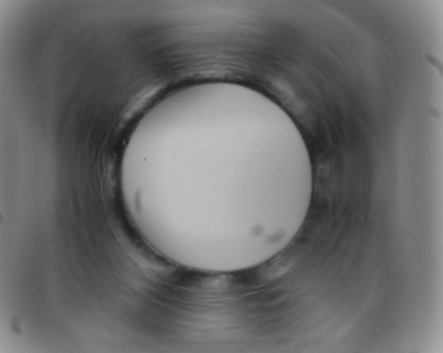 X0000097480116200803141943