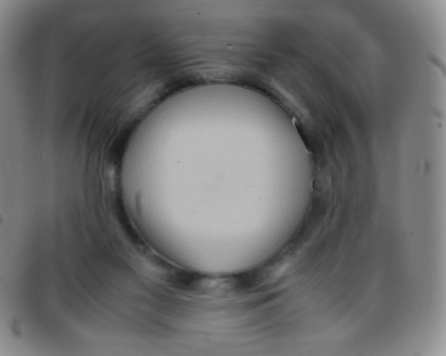 X0000097480117200803141943