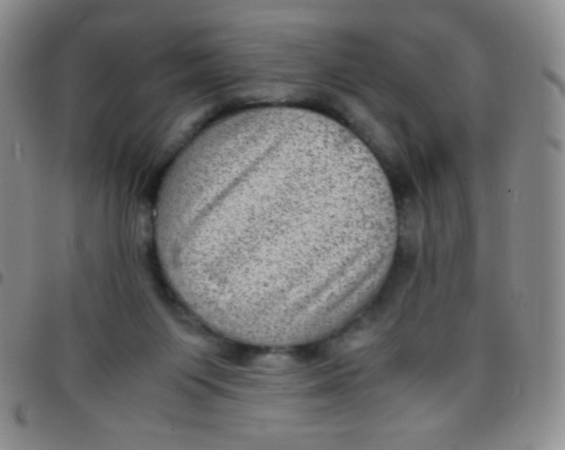 X0000097480119200803141943