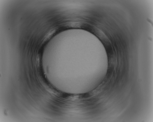 X0000097480120200803141943