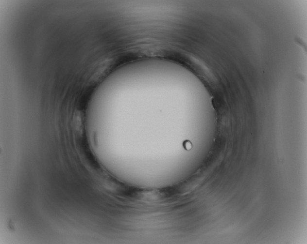 X0000097480121200803141943