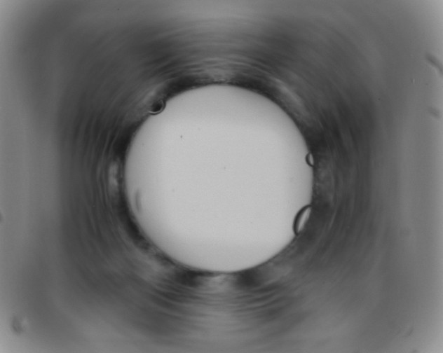 X0000097480122200803141943