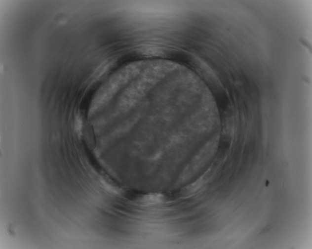 X0000097480124200803141943