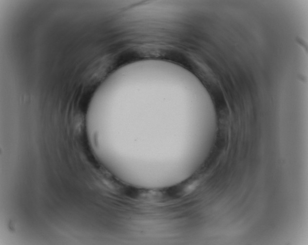 X0000097480125200803141943