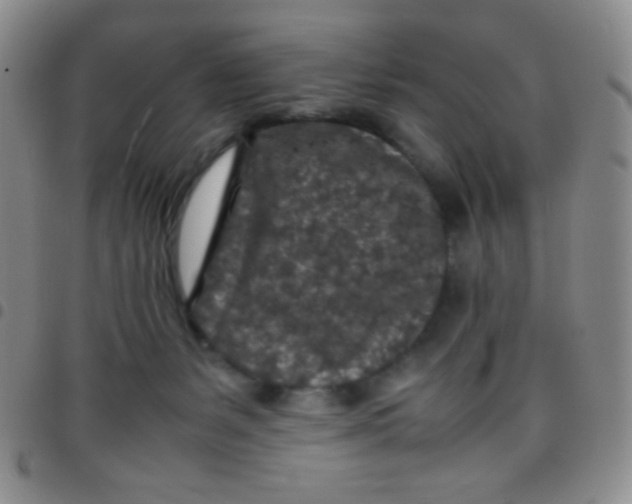 X0000097480127200803141943