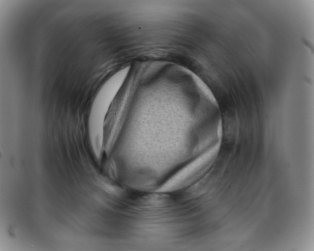 X0000097480128200803141943