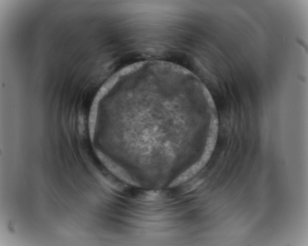 X0000097480130200803141943