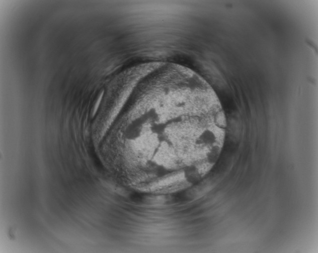 X0000097480131200803141943