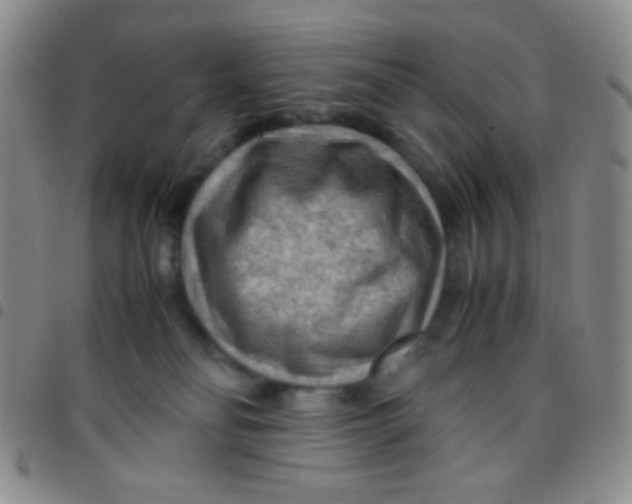 X0000097480134200803141943