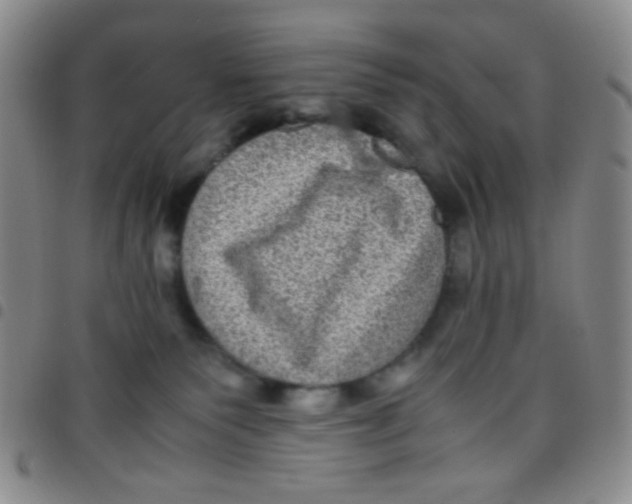 X0000097480135200803141943