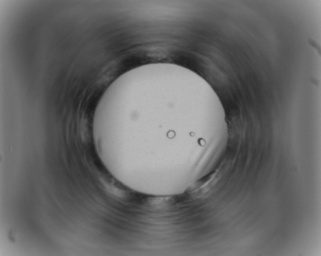 X0000097480136200803141943