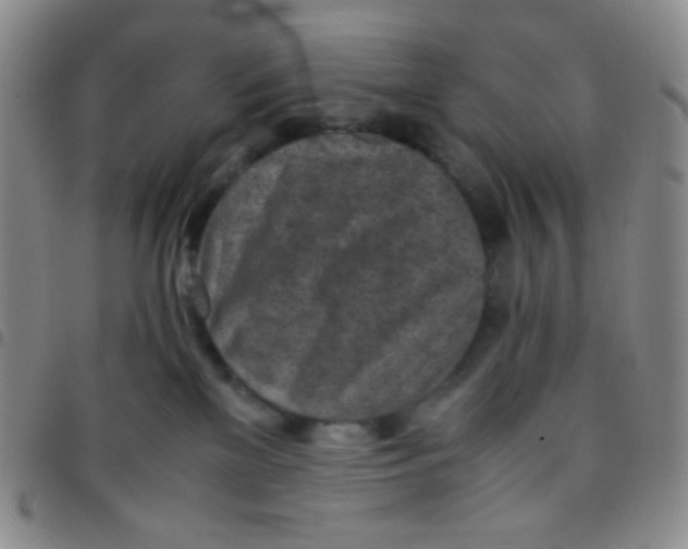 X0000097480137200803141943