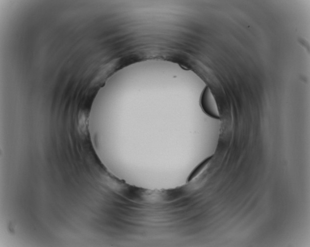 X0000097480142200803141943