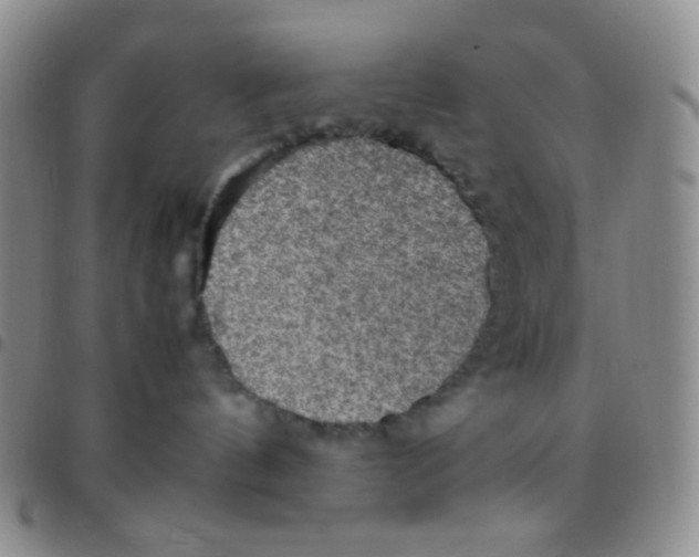 X0000097480144200803141943