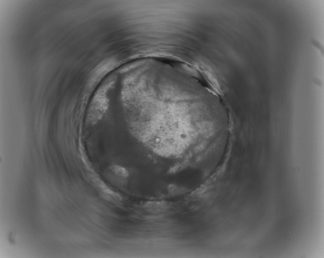 X0000097480145200803141942