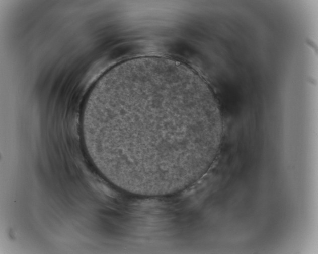 X0000097480146200803141942