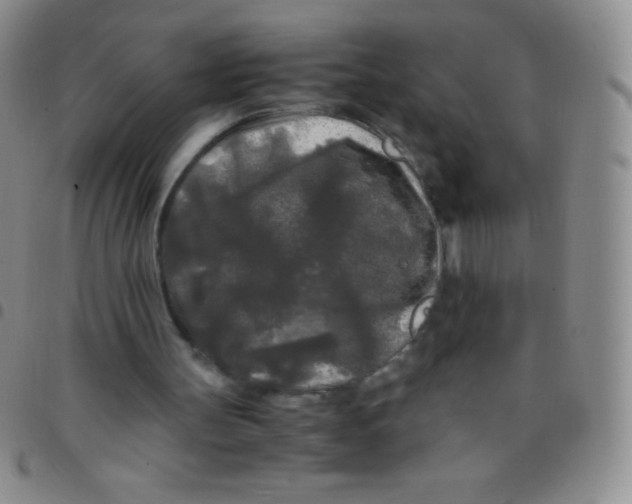 X0000097480147200803141942