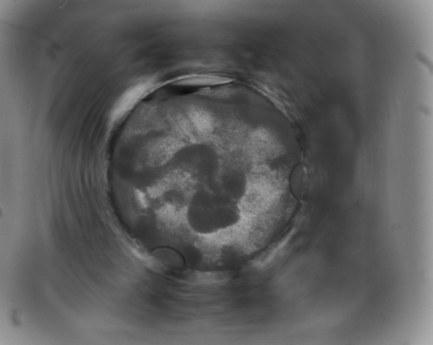 X0000097480149200803141942