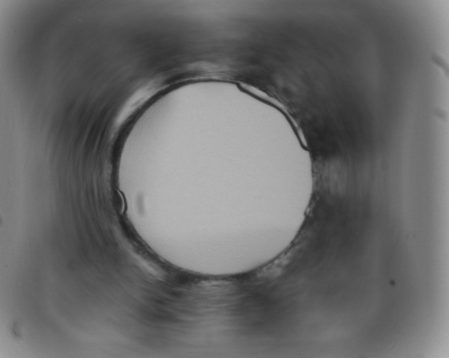 X0000097480150200803141942