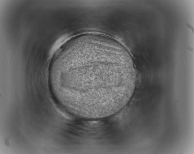 X0000097480151200803141942