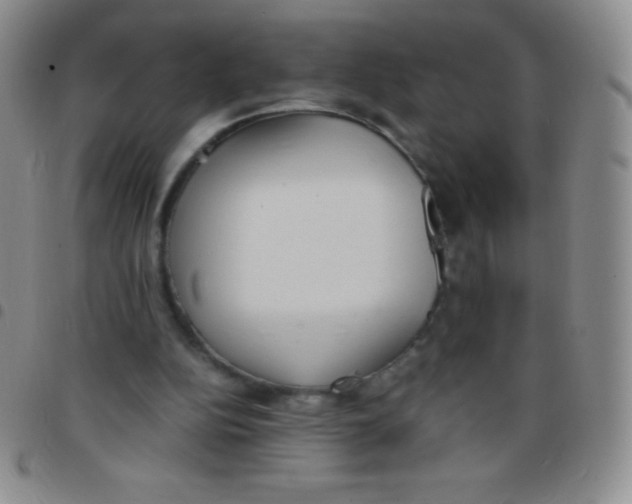 X0000097480152200803141942