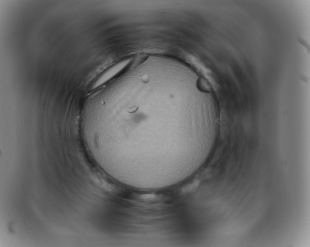 X0000097480153200803141942