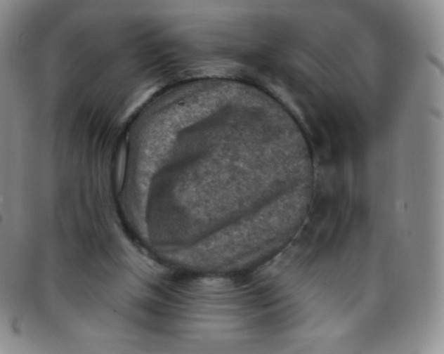 X0000097480154200803141942