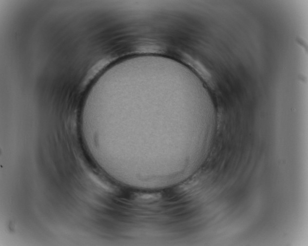 X0000097480155200803141942