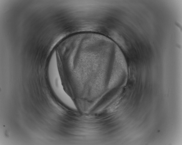 X0000097480156200803141942