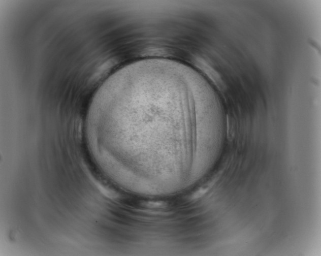 X0000097480157200803141942