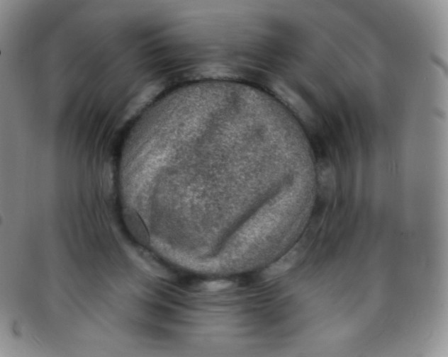 X0000097480158200803141942