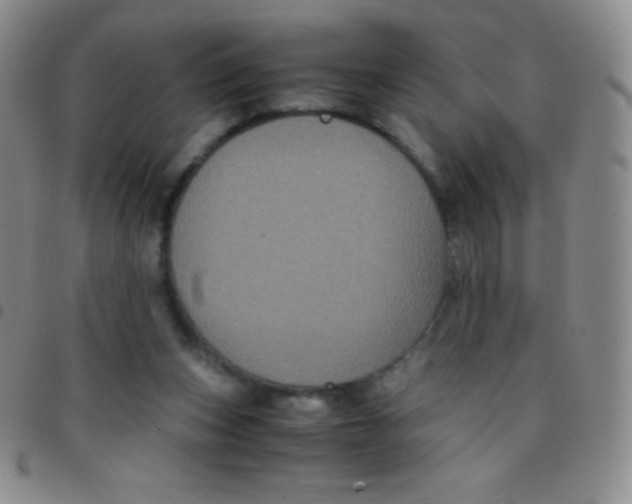 X0000097480159200803141942