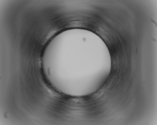 X0000097480160200803141942