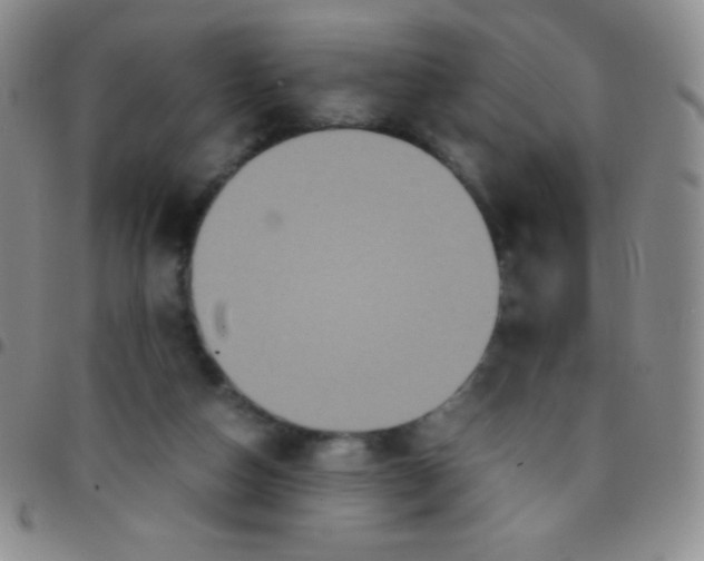 X0000097480162200803141942