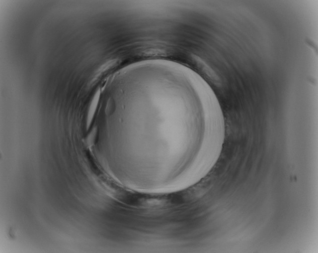 X0000097480163200803141942