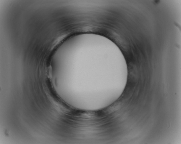 X0000097480164200803141942