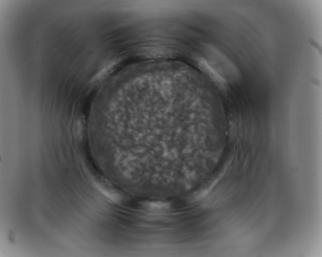 X0000097480165200803141942